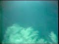 20,000 Leagues under the Sea submarine ride at Magic Kingdom