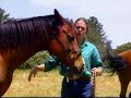 Leslie Desmond, American Horsemanship for the Young and Old Leslie Desmond, American Horsemanship for the Young and Old