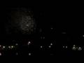 NYC Fireworks 2008