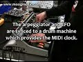 Amos Gaynes gives us a quick demo of the new Little Phatty stage II arpeggiator and MIDI Clock sync functions