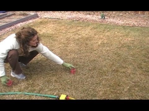 How to Winter Water Your Lawn