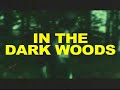 Clip JAYMA MAYS ERIC CLAY
THE NIGHT HIKERS Video