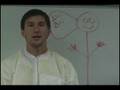 videos de Dharmaesque Orientation