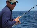 Tuna Trip 1
