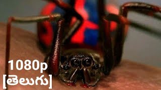 Peter Parker Gets Bitten By Spider - Spider-Man (2