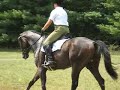 Scout D Loudon T