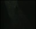 Isotonica 2 Isotonica 2