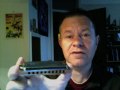 Hohner Blues harp demonstration