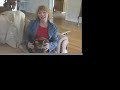 Cat training video Cat training video