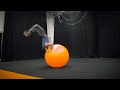 Hardcore Training - Exercise Ball