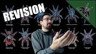 You no longer have an AVICULARIA | GENUS REVISION