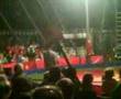 Fezz At Machynlleth Circus