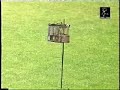 Silvestrismo de la A a la Z Parte 4