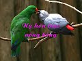 H??ng Ti?nh Muôn Thu?? H??ng Ti?nh Muôn Thu??