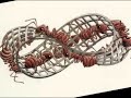 Exposición M.C. Escher