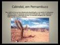 Meu filme 1