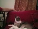 QUAZARHOME.m4v