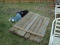 MIKE vs. FENCE!!!