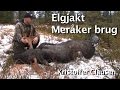 Elgjakt med løshund. Elgjakt Meråker brug med Kristoffer Clausen. Hunting moose.