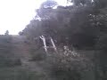 tallat al bikepark de sansa