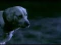 Banned Commercials - Budweiser Alien (Superbowl)