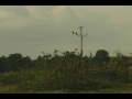 About the easy tree and it in action