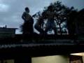 videos de Dança na laje com a turma do Ló!
