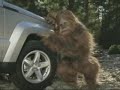 Bigfoot meets the Jeep Liberty Bigfoot meets the Jeep Liberty