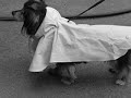 Life in iLife Umbrella - Rihanna REMIX
