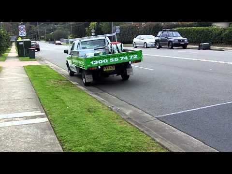 how to eliminate oxalis