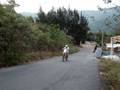 videos de tcholas d 250x