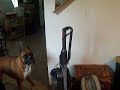 Does Blitz know where his ball is?