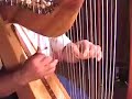 Daily Harp Moments-Pajaro Choqui (Geronimo_