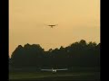 Fliegen bei Abendstimmung