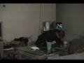 Paula Cole Emo Music Video