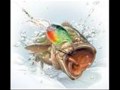 videos de Fishing Test2