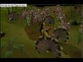videos de turkey attack and  thanksiginvg emotion