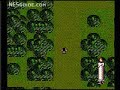 www.nesguide.com