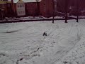 snow day take 3