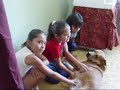 Be the Pack Leader~ 10 Examples Cesar's way! Walking Success Stories