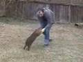 Caplin Rous Playing with Carl