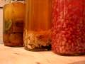 videos de vodka infusions -- a tasting.mov