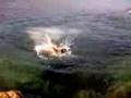 videos de plangen