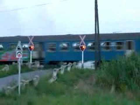 M41 Csörgő/Rattler