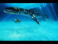 Liopleurodon Tribute
