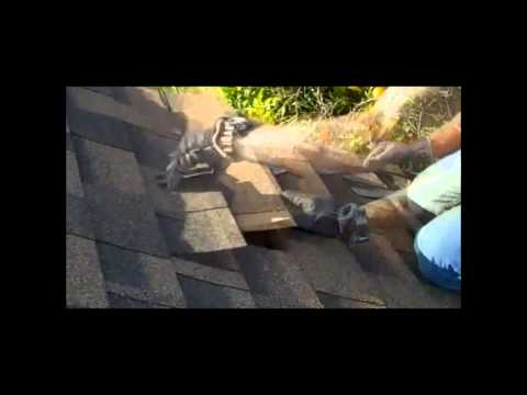 how to patch roof