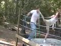 I hit him hard with my superkick.
