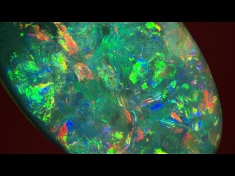 how to grow opals