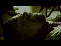 videos de Mysterious Journeys: The Ghosts of Gettysburg (2007) (Part 5 of 5)