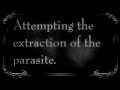 Dissection of the Inner Self